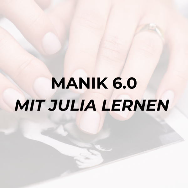 MANIK 6.0: Mit Julia Lernen
