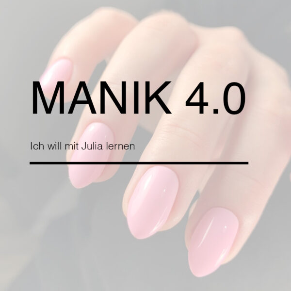 Online Kurs MANIK 4.0. Option: Ich will mit Julia lernen